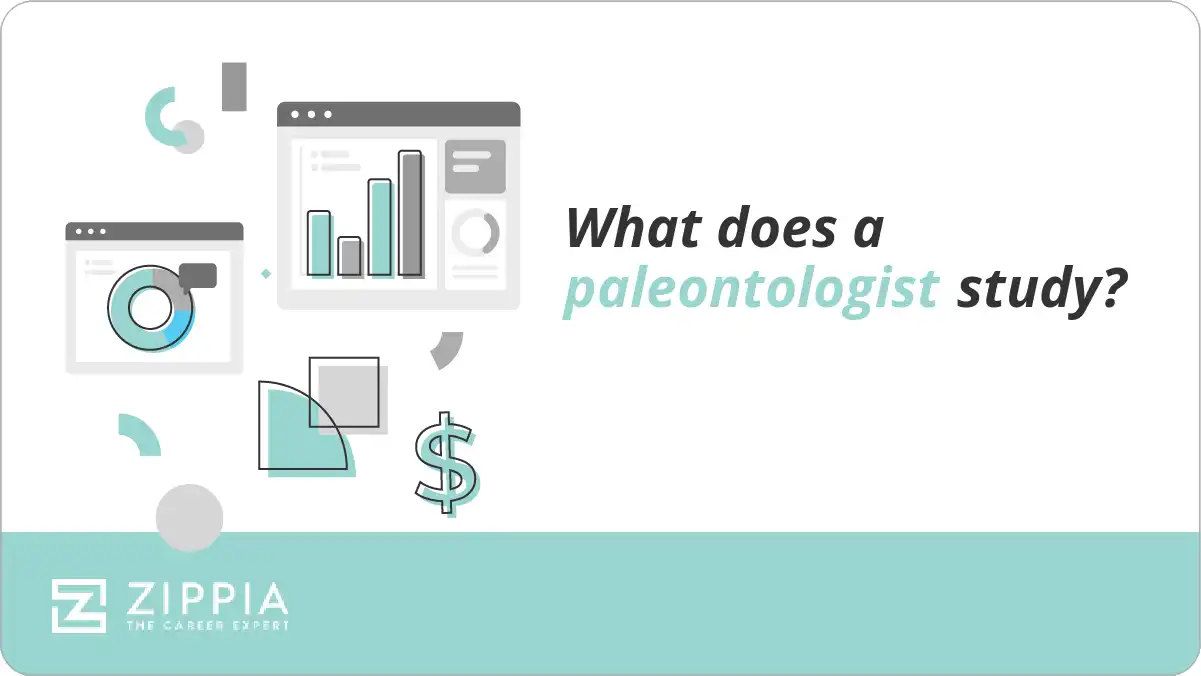 What does a paleontologist study?